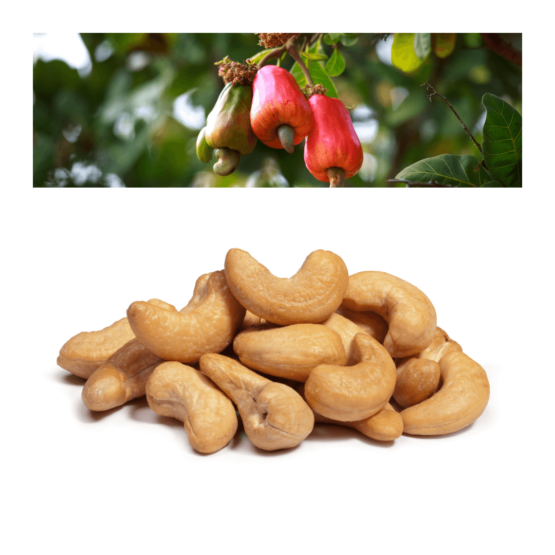 Balinese Cashew Nuts - Vanilla & Coconut - Archipelago Foods